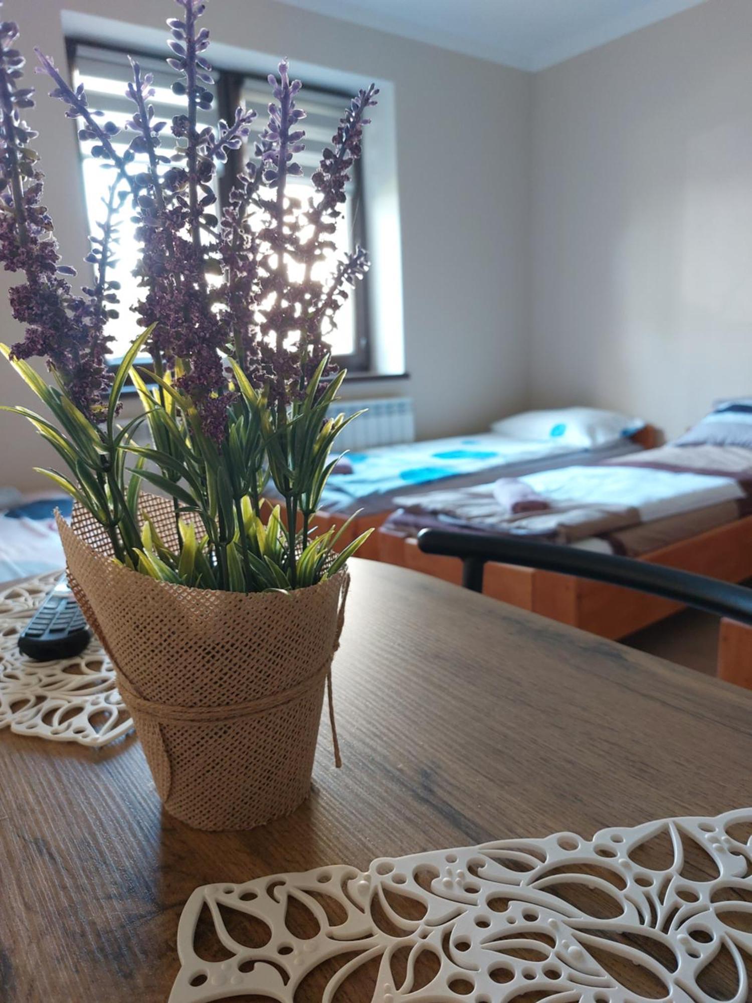 Lawendowy Zakatek Apartment Graboszyce Ngoại thất bức ảnh